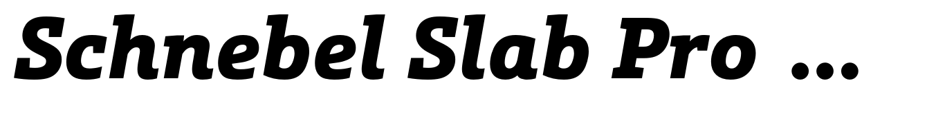 Schnebel Slab Pro Black Italic